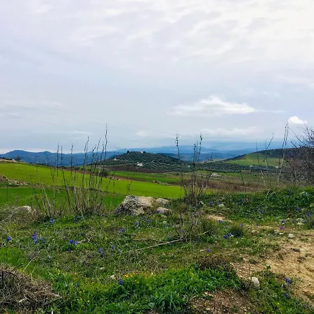 La Sorpresa Panzió Valle de Abdalagís