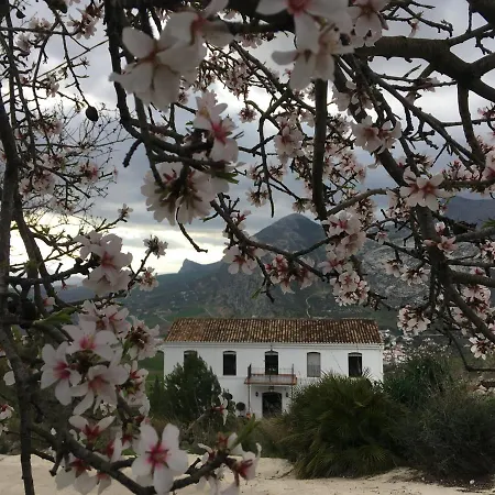 La Sorpresa Bed & Breakfast