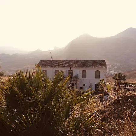 La Sorpresa *