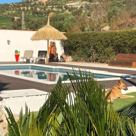Bed & Breakfast La Sorpresa